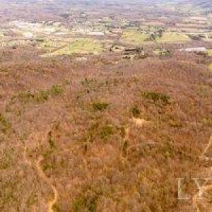 Photo #7 of Adventure Mountain, Montvale, VA 343.0 acres