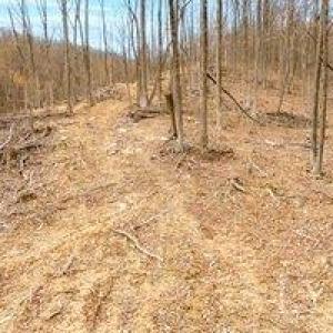 Photo #9 of Adventure Mountain, Montvale, VA 343.0 acres