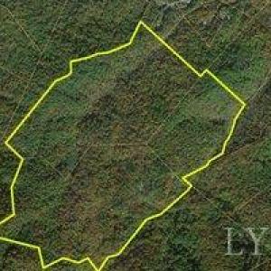 Photo #10 of Adventure Mountain, Montvale, VA 343.0 acres