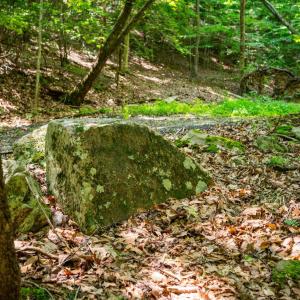 Photo #44 of Adventure Mountain, Montvale, VA 343.0 acres