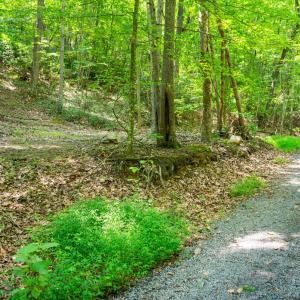 Photo #46 of Adventure Mountain, Montvale, VA 343.0 acres