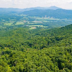 Photo #19 of Adventure Mountain, Montvale, VA 343.0 acres