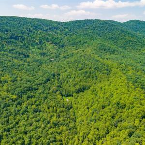 Photo #31 of Adventure Mountain, Montvale, VA 343.0 acres