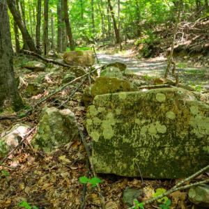 Photo #11 of Adventure Mountain, Montvale, VA 343.0 acres