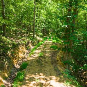 Photo #12 of Adventure Mountain, Montvale, VA 343.0 acres
