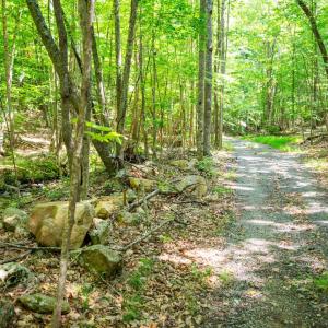 Photo #45 of Adventure Mountain, Montvale, VA 343.0 acres