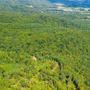Photo #27 of Adventure Mountain, Montvale, VA 343.0 acres