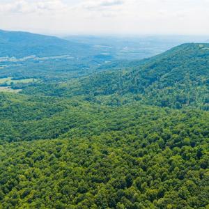Photo #15 of Adventure Mountain, Montvale, VA 343.0 acres