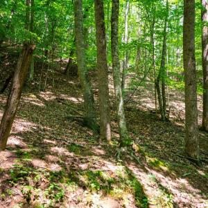 Photo #43 of Adventure Mountain, Montvale, VA 343.0 acres