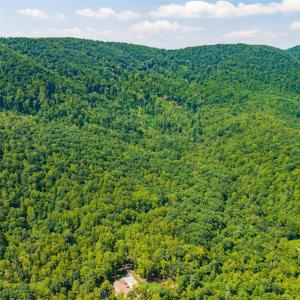 Photo #32 of Adventure Mountain, Montvale, VA 343.0 acres
