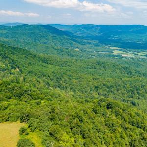 Photo #26 of Adventure Mountain, Montvale, VA 343.0 acres