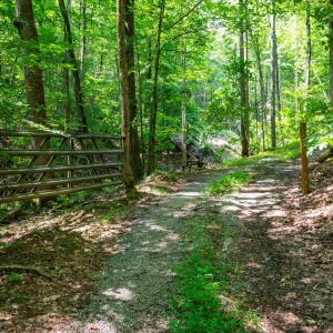 Photo #39 of Adventure Mountain, Montvale, VA 343.0 acres