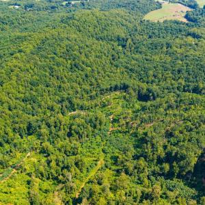 Photo #24 of Adventure Mountain, Montvale, VA 343.0 acres