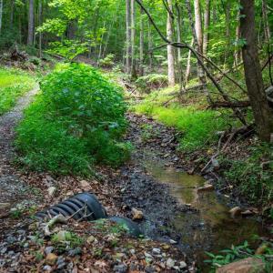 Photo #50 of Adventure Mountain, Montvale, VA 343.0 acres