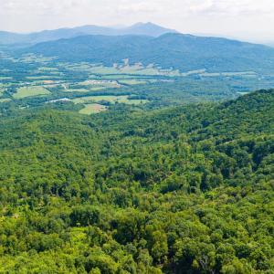 Photo #18 of Adventure Mountain, Montvale, VA 343.0 acres