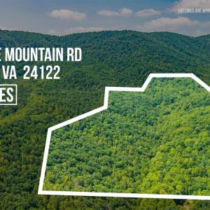 Photo #8 of Adventure Mountain, Montvale, VA 343.0 acres