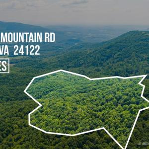 Photo #6 of Adventure Mountain, Montvale, VA 343.0 acres