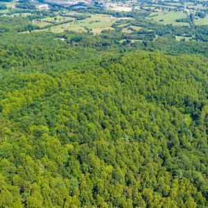 Photo #35 of Adventure Mountain, Montvale, VA 343.0 acres