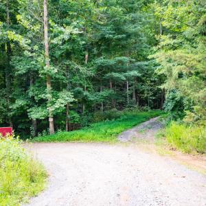 Photo #3 of Adventure Mountain, Montvale, VA 343.0 acres