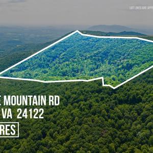 Photo #5 of Adventure Mountain, Montvale, VA 343.0 acres