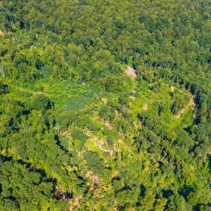 Photo #28 of Adventure Mountain, Montvale, VA 343.0 acres