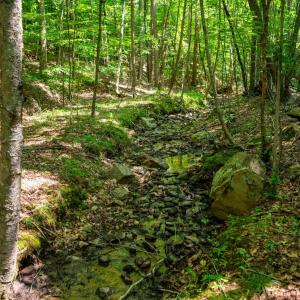 Photo #42 of Adventure Mountain, Montvale, VA 343.0 acres
