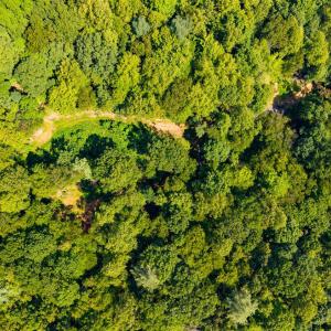 Photo #13 of Adventure Mountain, Montvale, VA 343.0 acres