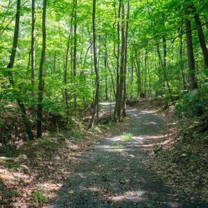 Photo #9 of Adventure Mountain, Montvale, VA 343.0 acres