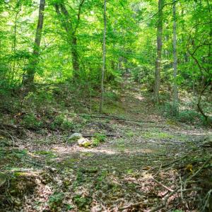 Photo #51 of Adventure Mountain, Montvale, VA 343.0 acres