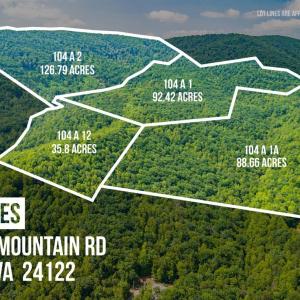 Photo #1 of Adventure Mountain, Montvale, VA 343.0 acres