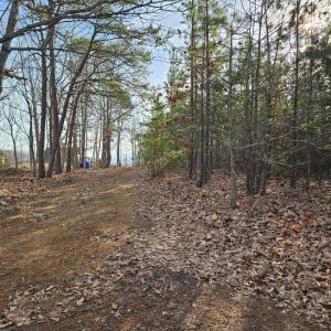 Photo #4 of Pleasant Mountain Drive, Rustburg, VA 70.0 acres