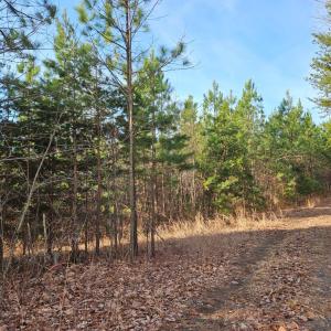 Photo #5 of Pleasant Mountain Drive, Rustburg, VA 70.0 acres