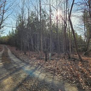 Photo #2 of Pleasant Mountain Drive, Rustburg, VA 70.0 acres