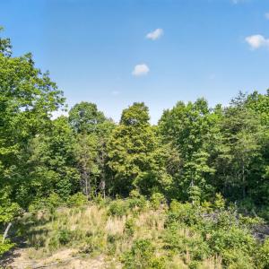 Photo #4 of Mohawk Road, Gladys, VA 10.8 acres