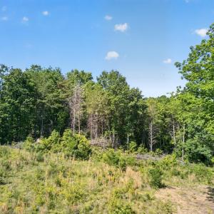 Photo #5 of Mohawk Road, Gladys, VA 10.8 acres