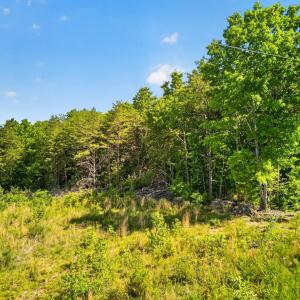 Photo #2 of Mohawk Road, Gladys, VA 10.8 acres