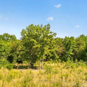 Photo #1 of Mohawk Road, Gladys, VA 10.8 acres