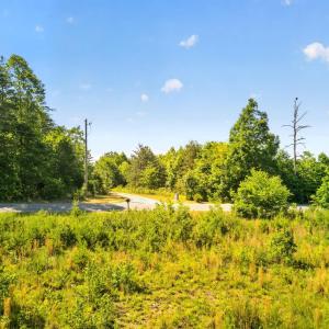 Photo #6 of Mohawk Road, Gladys, VA 10.8 acres
