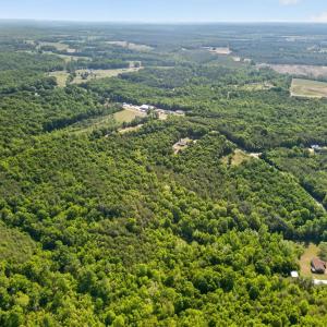 Photo #16 of Mohawk Road, Gladys, VA 10.8 acres
