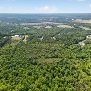 Photo #17 of Mohawk Road, Gladys, VA 10.8 acres