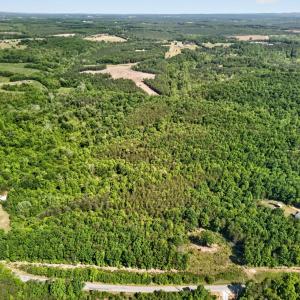 Photo #13 of Mohawk Road, Gladys, VA 10.8 acres
