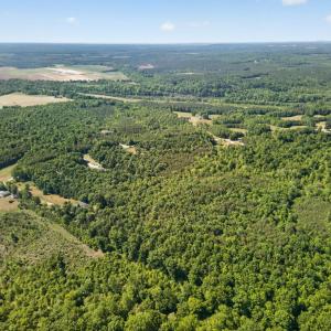 Photo #18 of Mohawk Road, Gladys, VA 10.8 acres