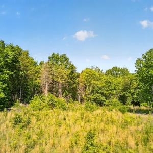 Photo #3 of Mohawk Road, Gladys, VA 10.8 acres