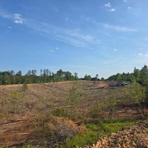 Photo #4 of 5367 Lunenburg County Road, Keysville, VA 93.0 acres