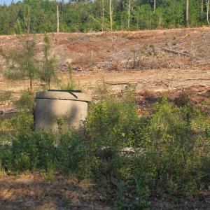 Photo #3 of 5367 Lunenburg County Road, Keysville, VA 93.0 acres