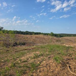 Photo #8 of 5367 Lunenburg County Road, Keysville, VA 93.0 acres