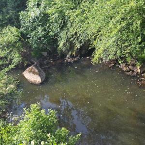 Photo #2 of 5367 Lunenburg County Road, Keysville, VA 93.0 acres