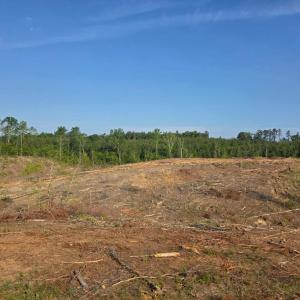 Photo #5 of 5367 Lunenburg County Road, Keysville, VA 93.0 acres