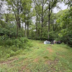 Photo #3 of 1115 Gandy Road, Goode, VA 2.0 acres