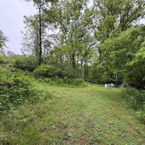Photo #1 of 1115 Gandy Road, Goode, VA 2.0 acres